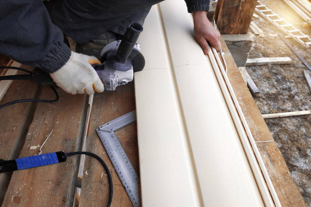 Best Siding Painting and Refinishing  in Corning, IA